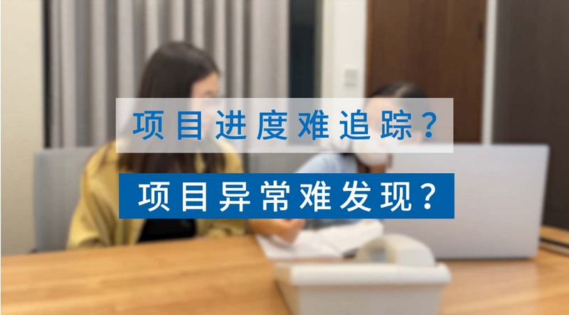 項目進(jìn)度一眼掌控
